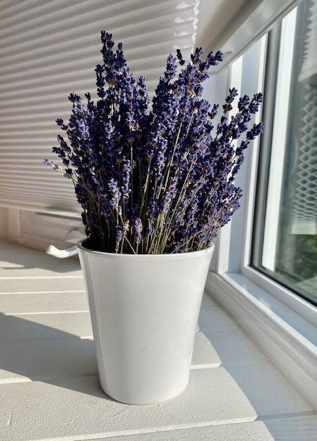 Dried English Lavender Bouquets