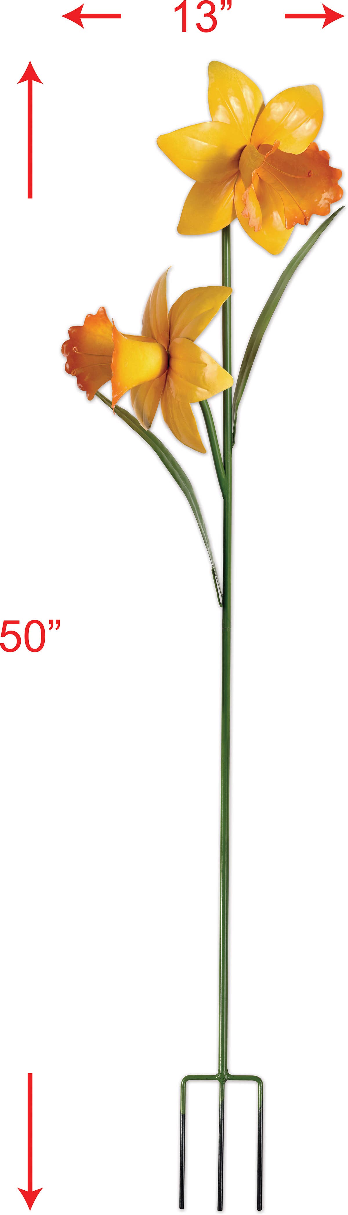 Daffodil Double Stake 50"