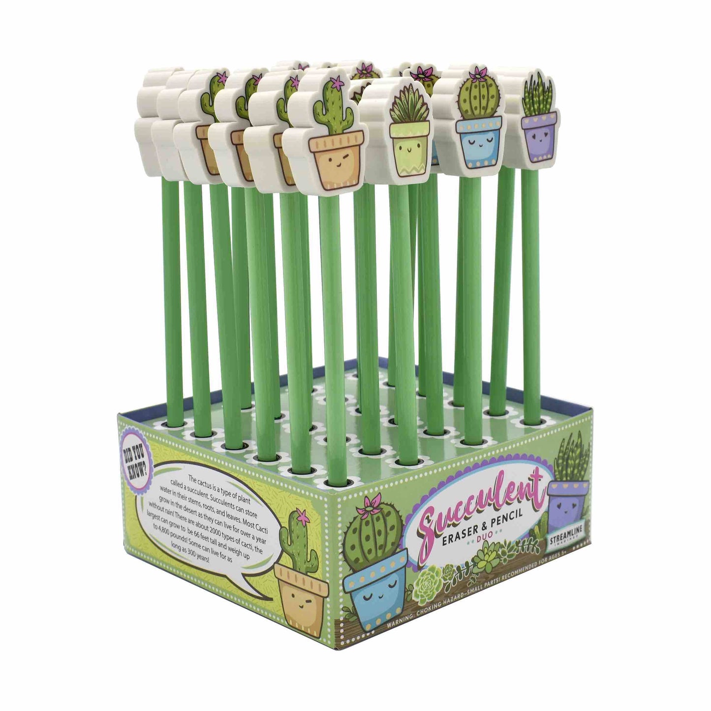 Cactus Eraser & Pencil Duo