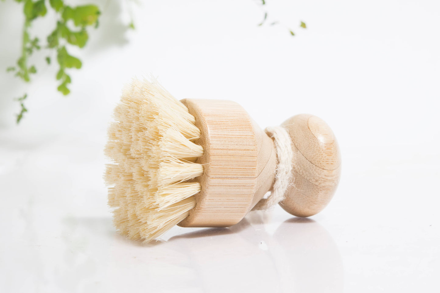Kitchen Dish & Scrub Brush