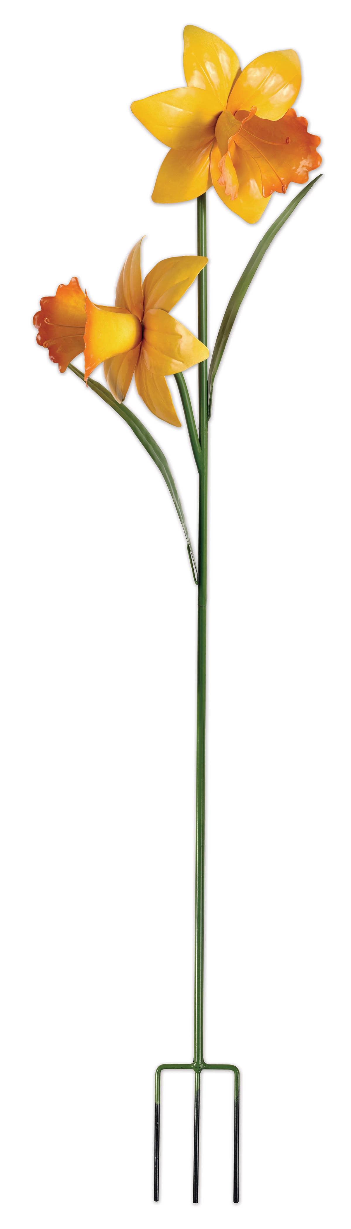 Daffodil Double Stake 50"
