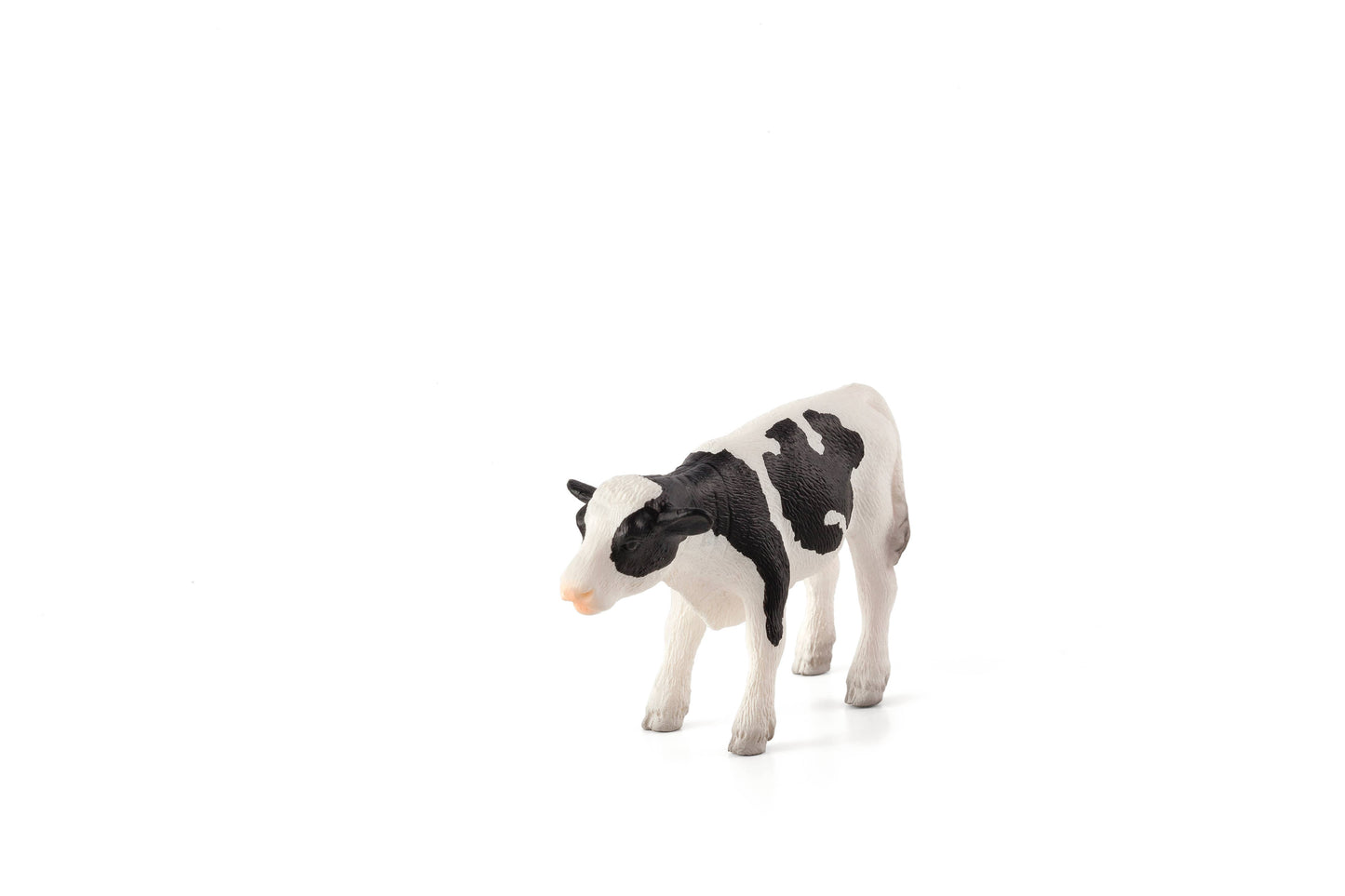 MOJO Holstein Calf standing