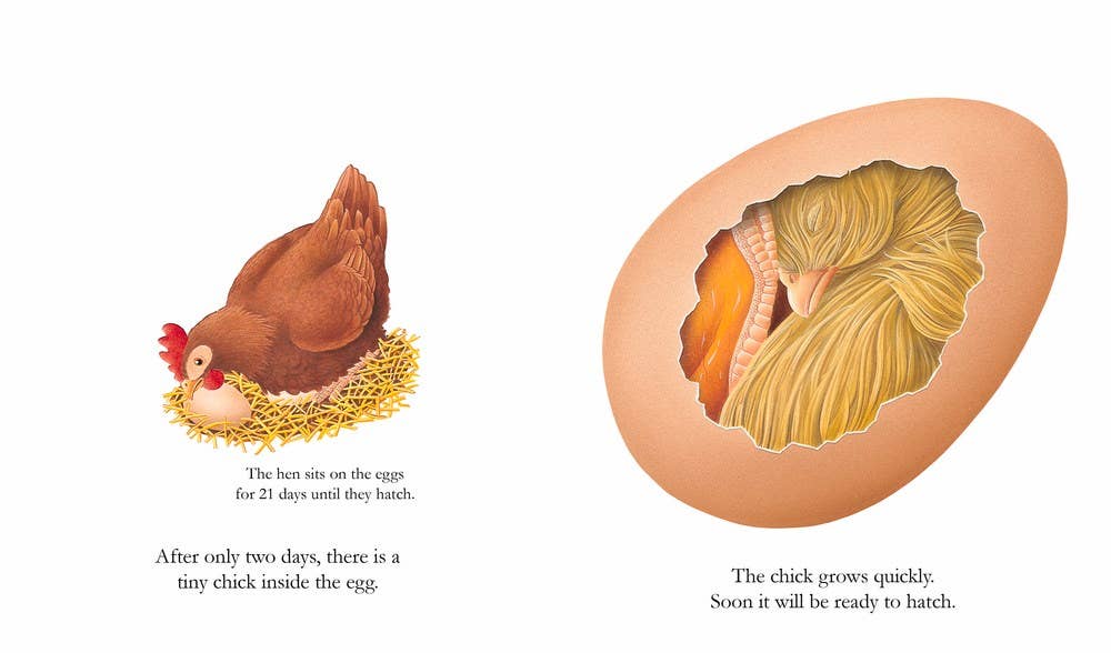 Egg: Paperback Picture Book / 32