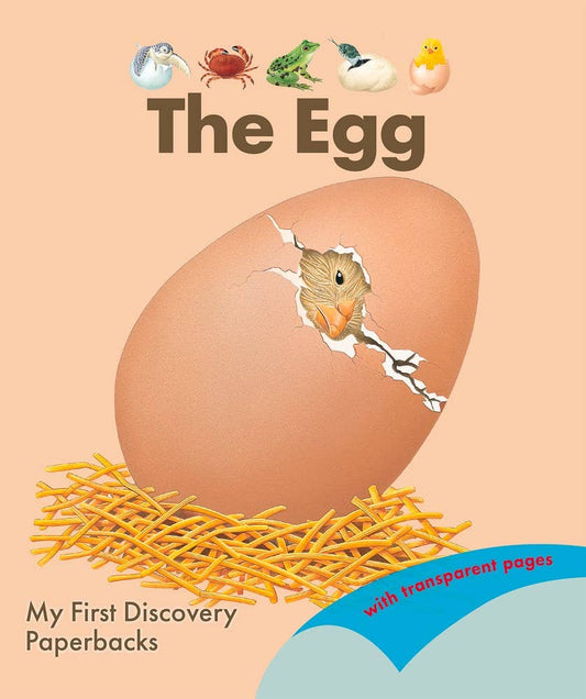 Egg: Paperback Picture Book / 32