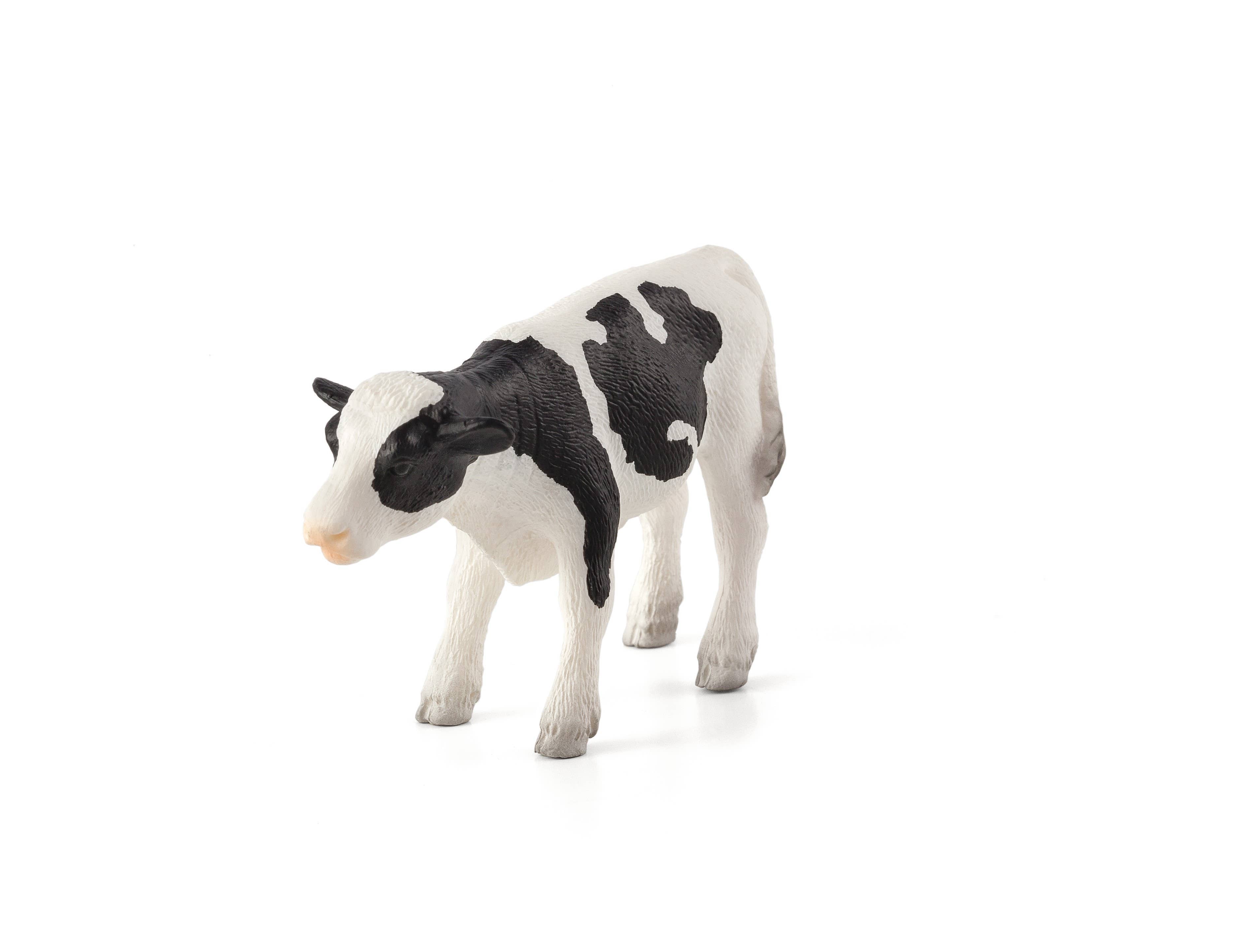 MOJO Holstein Calf standing – Julian Farm and Orchard