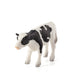 MOJO Holstein Calf standing